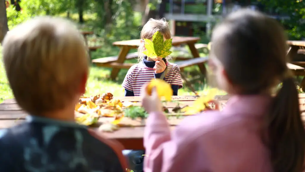 Kinder im Garten der Schule. Kinder lernen mit Naturmaterialien