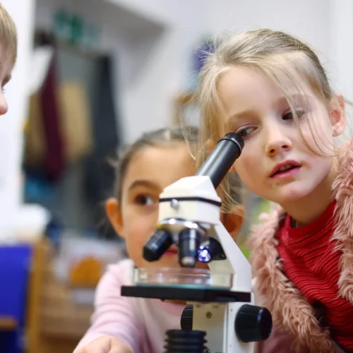 Mädchen der Montessori Grundschule schaut durch ein Mikroskop Mädchen der Montessori Grundschule schaut durch ein Mikroskop