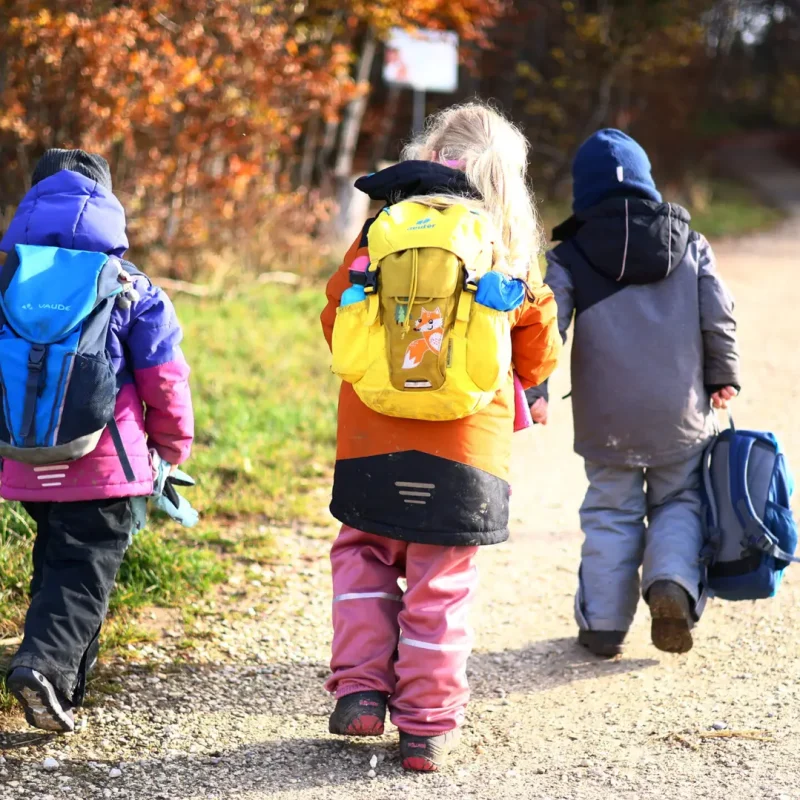 Zwei Kinder mit Rucksäcken laufen gemeinsam den Waldweg entlang in Richtung Kindergarten.