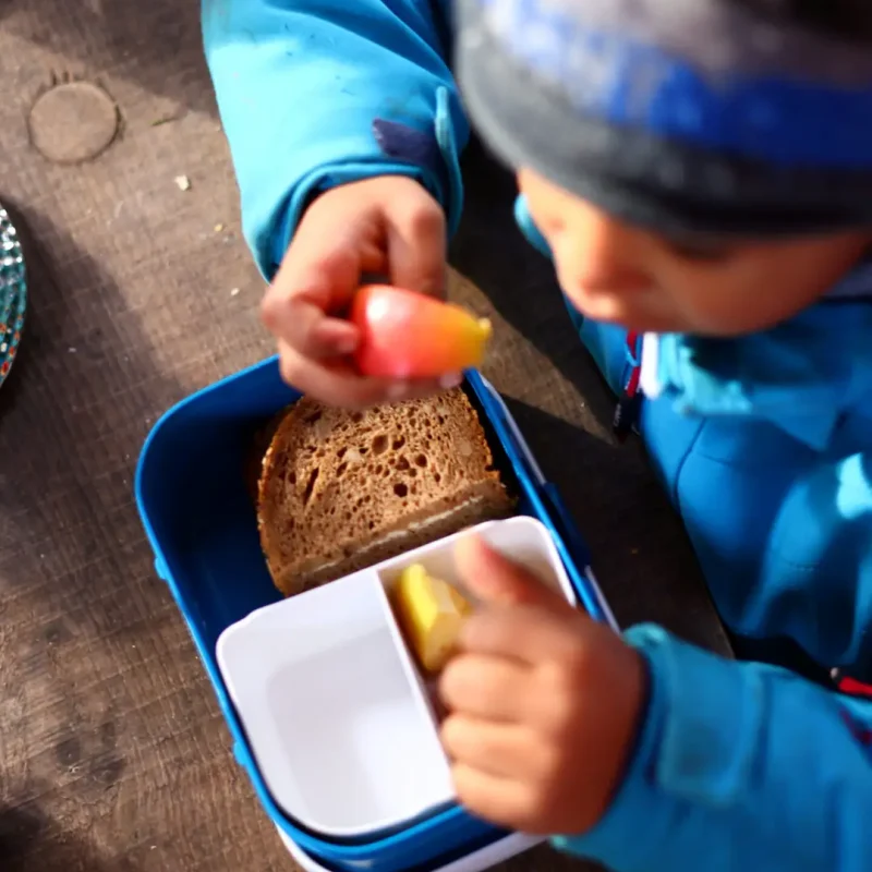 Kind öffnet seine Brotdose im Wald und bereitet sein Frühstück zu.