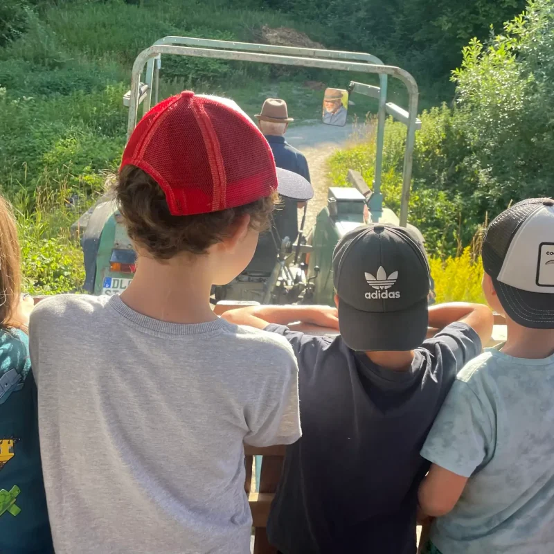 Kinder sitzen auf einem Traktor-Anhänger und fahren gemeinsam über das Gelände.
